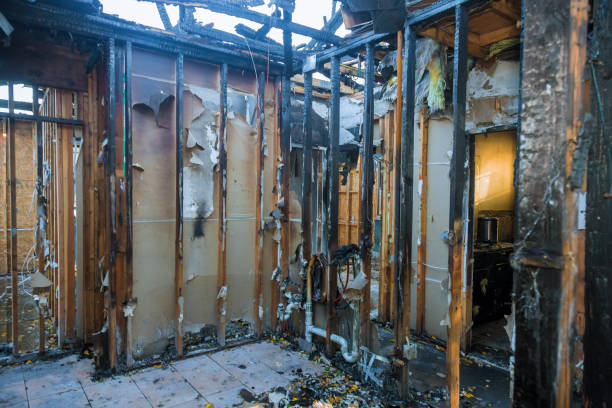 Professional Fire Damage Removal technician working in Locust Grove, GA